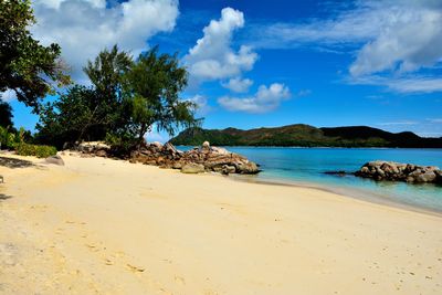 Scenic view of beach against sky