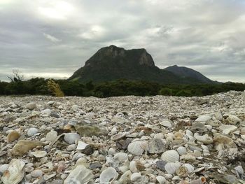 Scenic view of landscape against cloudy sky