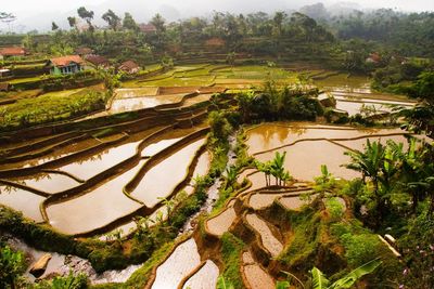 Scenic view of landscape