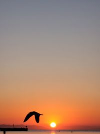 Silhouette bird flying over sea against orange sky