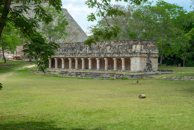 Old ruin on field