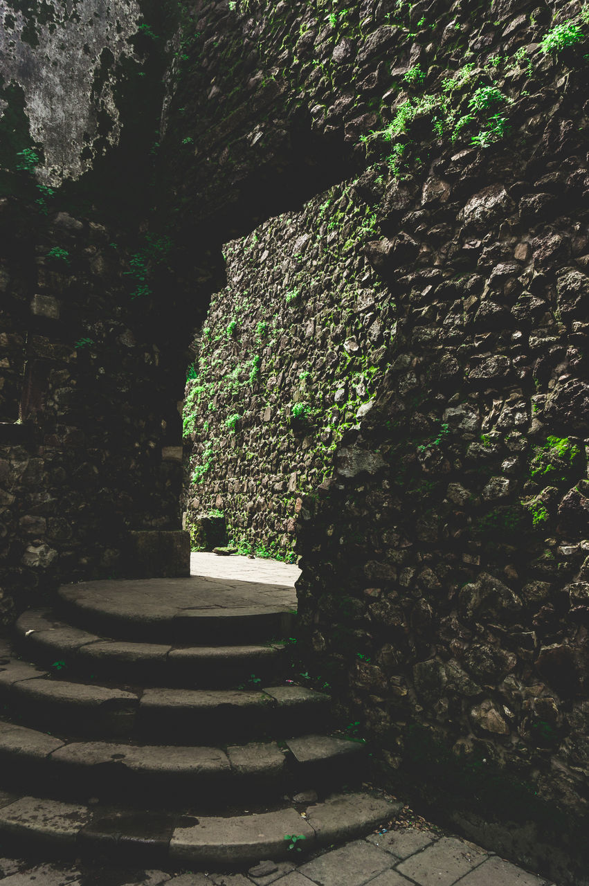 TREES GROWING ON STONE STEPS