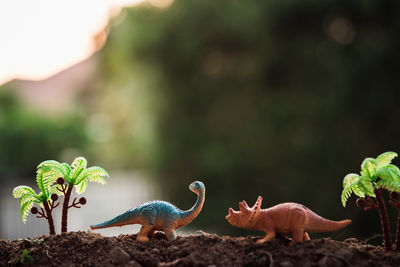 Close-up of dinosaur figurines on dirt