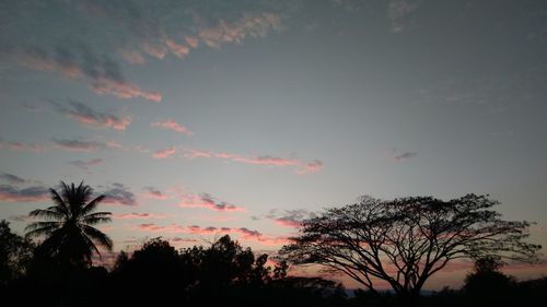 Low angle view of silhouette trees against sky during sunset