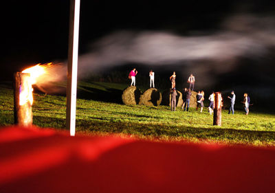 People on field against sky at night