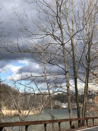 Low angle view of bare trees against sky during winter