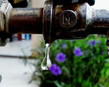 Close-up of water drop from faucet