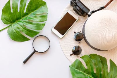 High angle view of potted plant on table