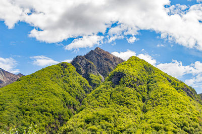 Low angle view of green mountains against sky