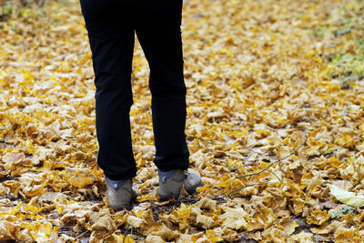 Low section of man standing on dry leaves