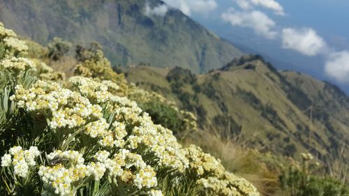Scenic view of mountains against sky