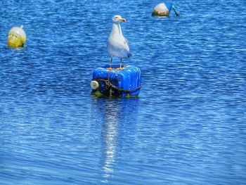 Calm blue sea