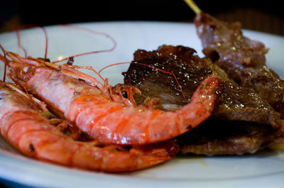 Close-up of prawns in plate