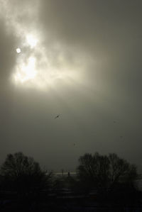 Silhouette bird flying against sky