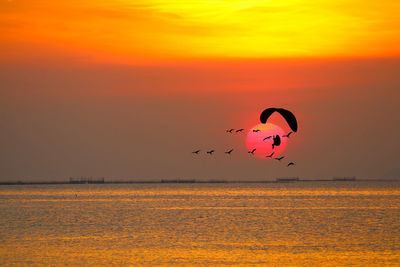 Silhouette birds flying over sea against orange sky