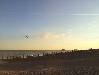 Silhouette birds flying over beach against sky during sunset