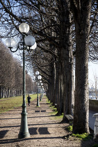 Street light in park