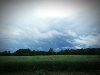 Scenic view of field against cloudy sky