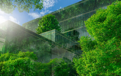 Eco-friendly building with vertical garden in modern city. green tree on sustainable building. 
