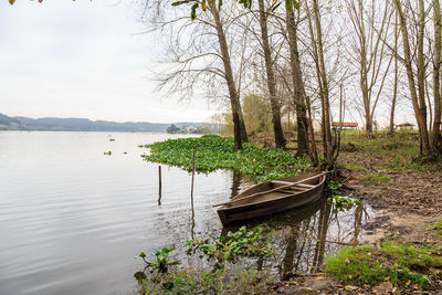 Scenic view of lake and trees against sky