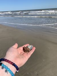 Cropped hand of women holding seashell against sea and sky