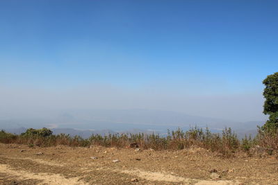 Scenic view of field against clear blue sky