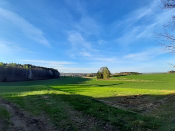 Scenic view of field against sky