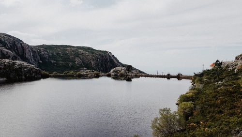 Scenic view of river by tree against sky