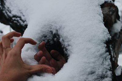 Cropped hands against snow covered tree trunk