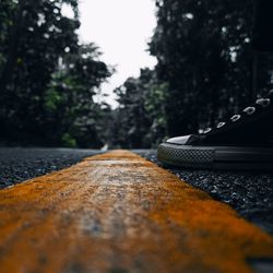 Surface level of road by trees in city