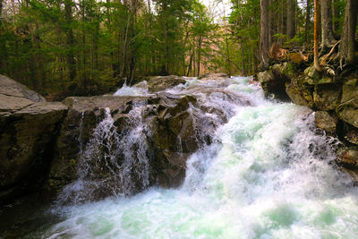 River flowing through rocks