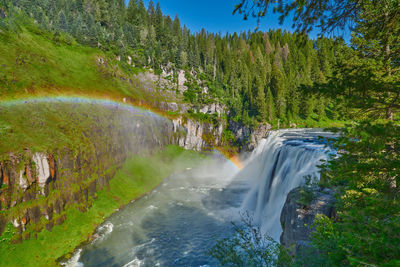 Scenic view of waterfall in forest