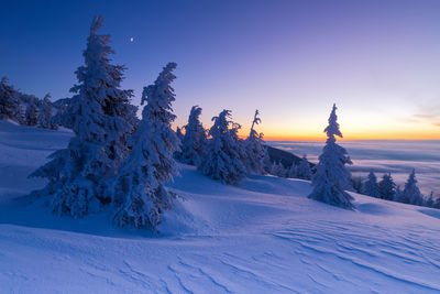 The beauty of winter on the snowy mountains at sunrise . vladeasa mountains - romania