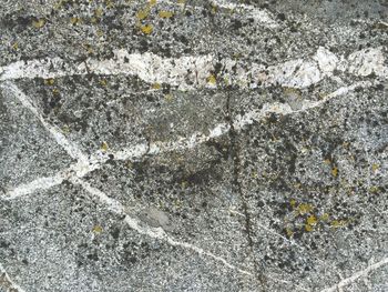 Full frame shot of white surface