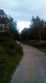 Road amidst trees in forest against sky