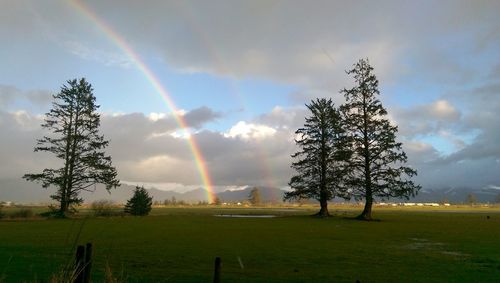 Scenic view of grassy field against cloudy sky