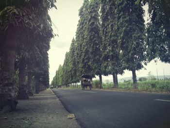 Empty road amidst trees in city against sky