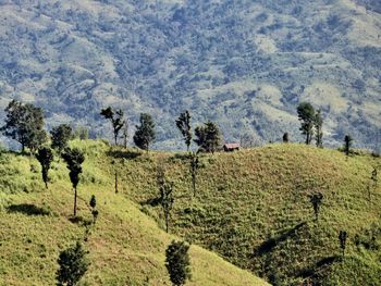 Scenic view of landscape