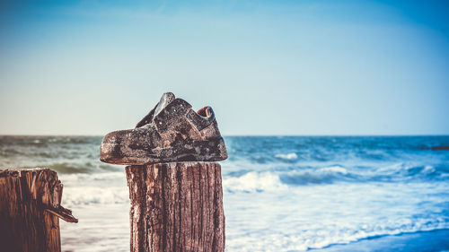 Close-up of lizard on beach against clear blue sky