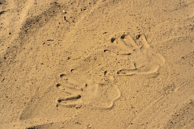 High angle view of footprints on sand