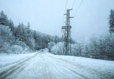 Road by trees against sky during winter