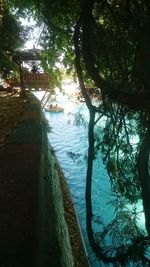 Scenic view of river amidst trees