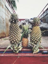 Pineapples on metal for sale