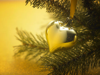 Close-up of christmas ornaments hanging on tree