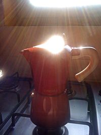 Sun shining through trees