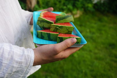 Midsection of man holding watermelons in plate