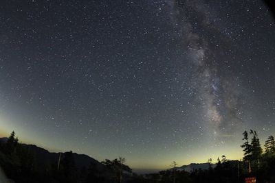 Low angle view of starry sky