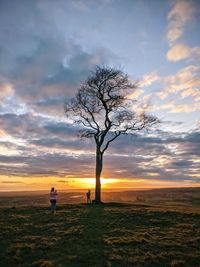 Scenic view of field against sky during sunset