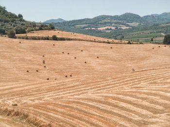 Scenic view of agricultural field against sky