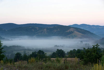 Scenic view of trees and mountains against sky